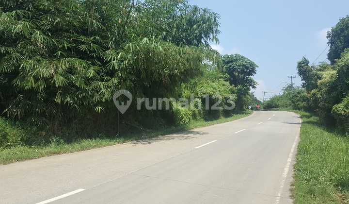Strategic Land Location Suitable for Commercial Warehouses or Housing in Jasinga, Bogor