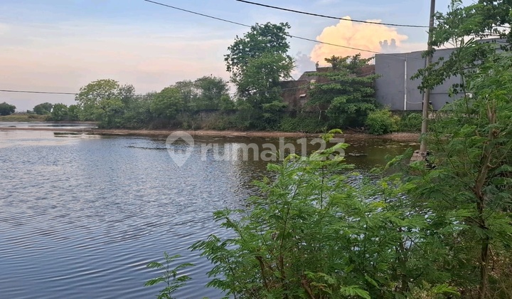 Fishpond Land on Pantura Road, Babat, Lamongan Fishpond Land on Pantura Road, Babat, Lamongan