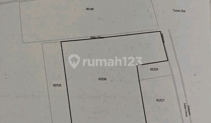 Affordable Chicken Coop Warehouse Malang