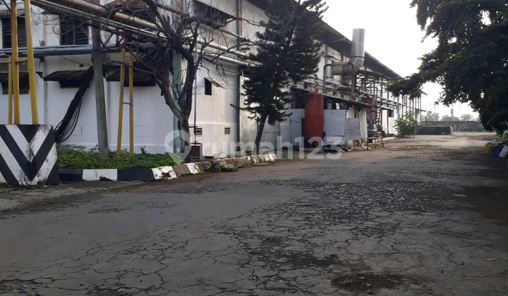 For Sale Strategic Giant Factory Kertosono Nganjuk Furnished