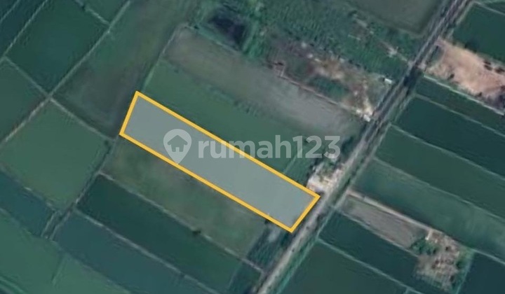 Tanah Nol Jalan Banjarsari Cerme Gresik Tanah Nol Jalan Banjarsari Cerme Gresik