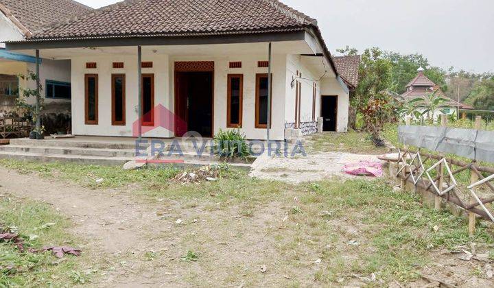 Rumah Daerah Tumpang Lahan Luas Dekat Museum Panji  1