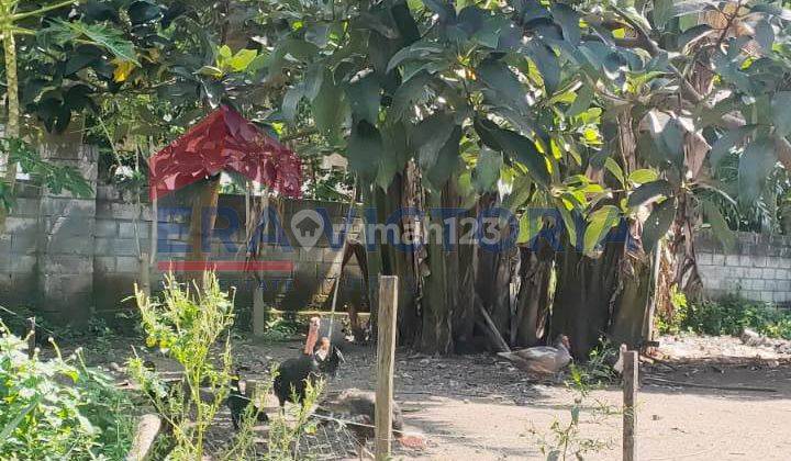 Dijual Tanah 15 Menit Ke Pusat Kota Blitar Area Ramai  1