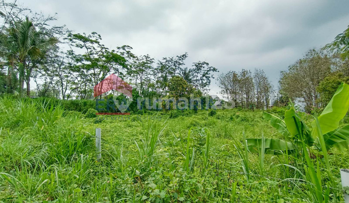 Lokasi Premium Merjosari Tanah Luas 687 m² Dekat Kampus dan Area Bisnis