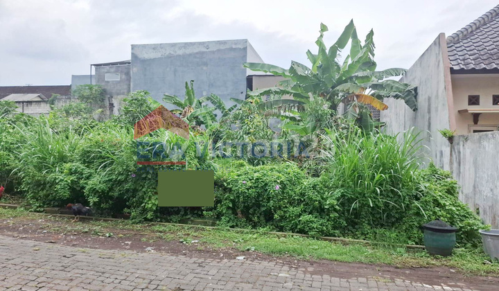 Tanah Kavling Premium Lokasi Inti Singosari Dekat SMAI Almaarif & Jalur KEK Tanah Kavling Premium Lokasi Inti Singosari Dekat SMAI Almaarif & Jalur KEK