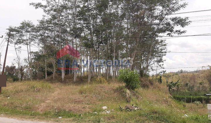 Tanah Pinggir Daerah Kalisongo Area Industri Cocok Untuk Gudang 2