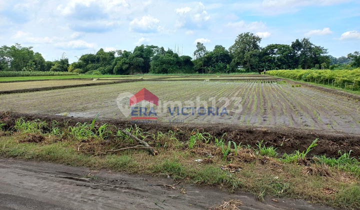 Land Lease 7696 m2 Gurah, Kediri 20 Minutes to Kediri City Land Lease 7696 m2 Gurah, Kediri 20 Minutes to Kediri City