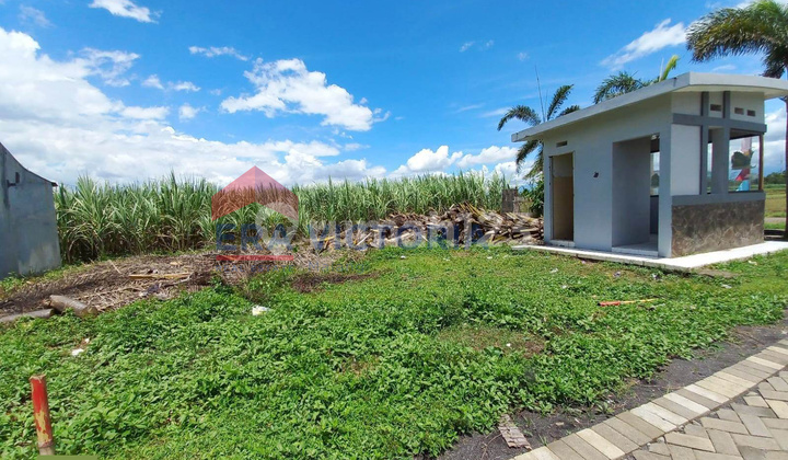 Tanah Kavling Pakisaji Dekat Indogrosir & Pasar Induk Gadang Tanah Kavling Pakisaji Dekat Indogrosir & Pasar Induk Gadang