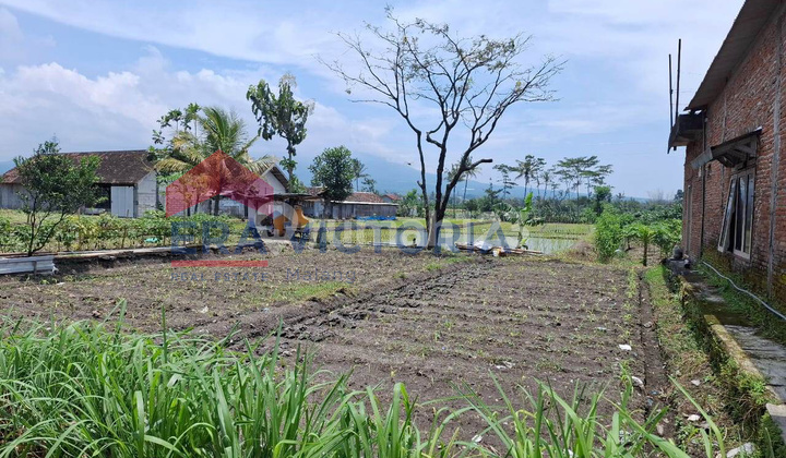 Tanah Strategis di Tegalgondo, Dekat Kampus UMM & Wisata Sengkaling Tanah Strategis di Tegalgondo, Dekat Kampus UMM & Wisata Sengkaling