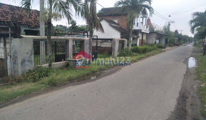 Dijual Tanah Kebun Alpukat & Jeruk Berbuah, Pagar Tembok Keliling – Ngronggot, Nganjuk 2