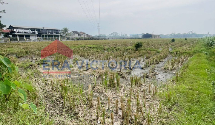 Dijual Tanah Sawah Potensial Dekat Zonsipur & Kawasan Kuliner Kepanjen
