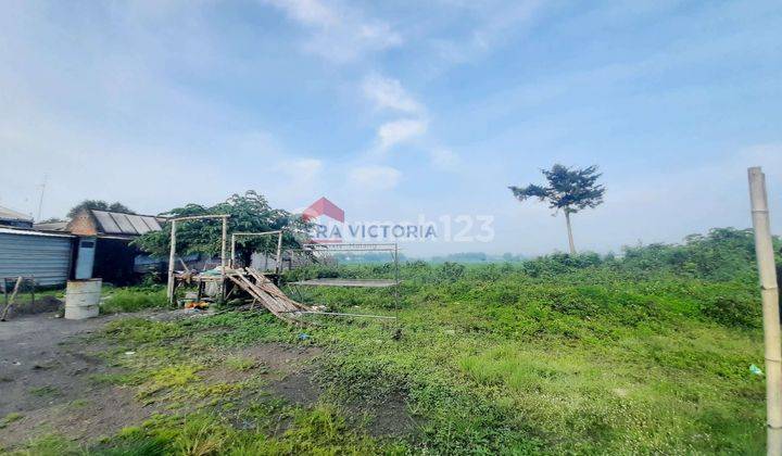 Tanah Kavling Murah Lokasi Strategis Akses Mudah Jombang  1