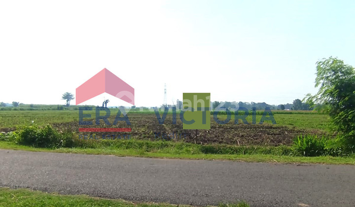 Tanah 7978 m2 Badas Kab Kediri 4 Menit dari Puskesmas Badas