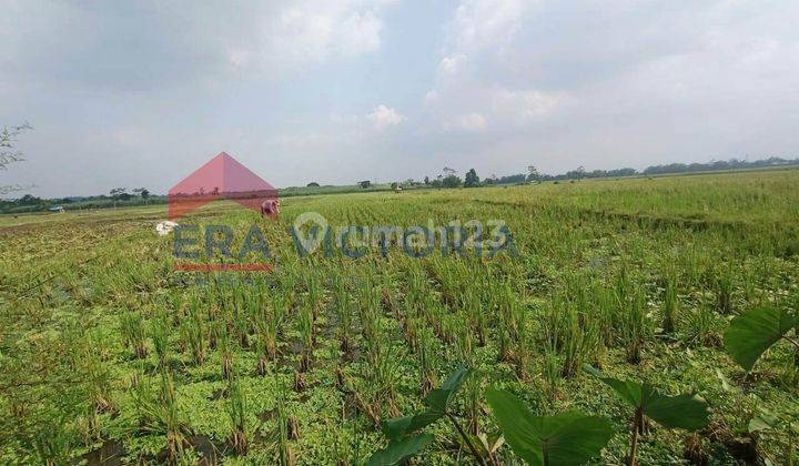 Tanah Dijual Area Singosari Lokasi Bagus Akses Mudah  1