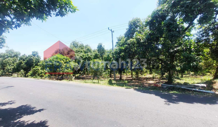 Land for Sale by Busy Roadside Near Industrial Area, Suitable for Business