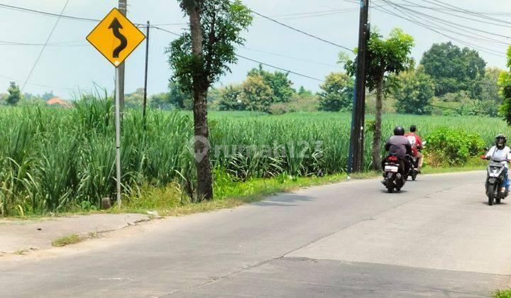 Lahan Tanah Kupang Jetis, Mojokerto Nol Jalan Propinsi 5000 M2 SHM 1