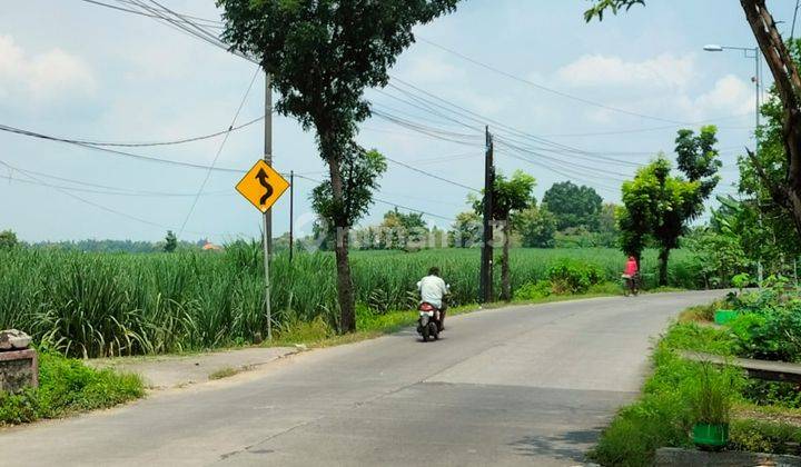 Lahan Tanah Kupang Jetis, Mojokerto Nol Jalan Propinsi 5000 M2 SHM 2