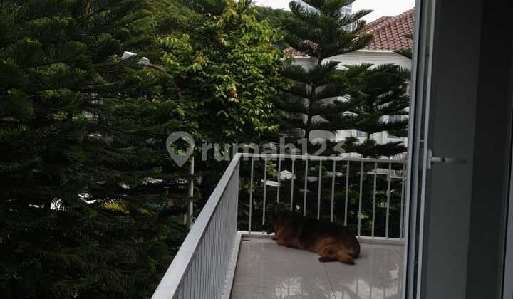 Luxury Hook House in Amarylis Cluster, Alam Sutera, South Tangerang 2