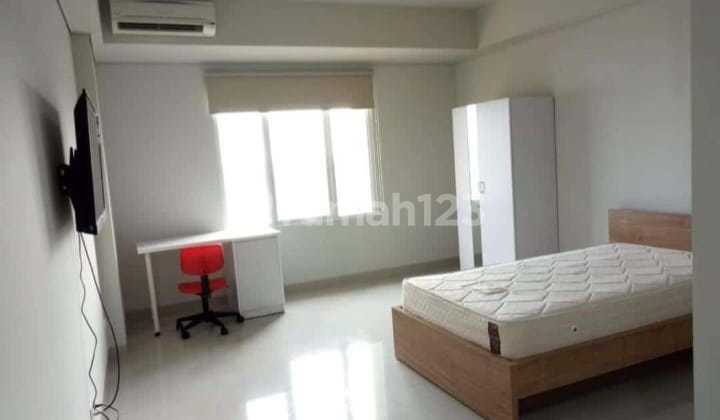 Apartemen Studio Beverly 90210 Furnished