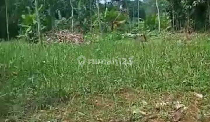 Dijual Tanah Cocok Untuk Hunian , Villa , Kebun Didaerah Sejuk Di Bawah Kaki Gunung Salak Di Cijeruk Bogor  2