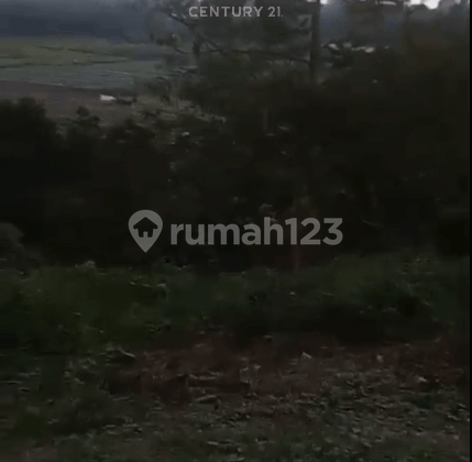 71 Hectares Land Carita Labuan Negotiable Until Deal 71 Hectares Land Carita Labuan Negotiable Until Deal