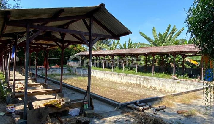 Former Kramatwatu Restaurant Bonus Playground and Fishing Pond Former Kramatwatu Restaurant Bonus Playground and Fishing Pond