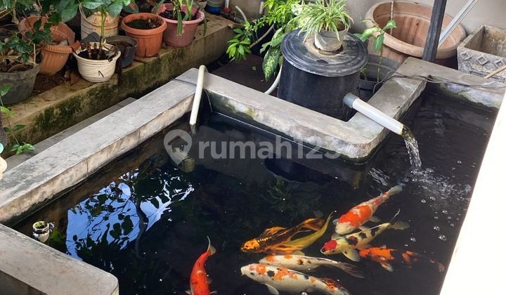 Rumah Di Bawah Harga Pasaran Pulomas Jakarta Timur