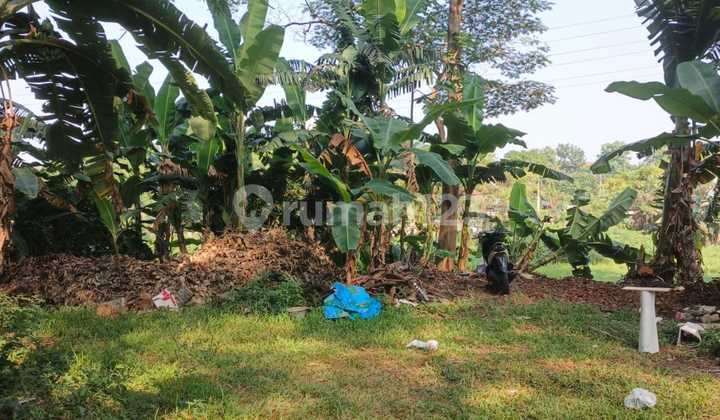 Tanah Ciracas, Jakarta Timur, Investasi Pasti, Bisnis Maju