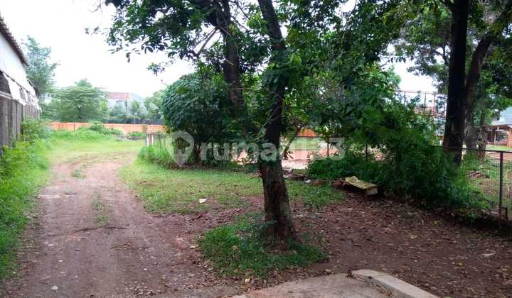 Tanah Jatimakmur: Cocok Usaha Akses Kontainer