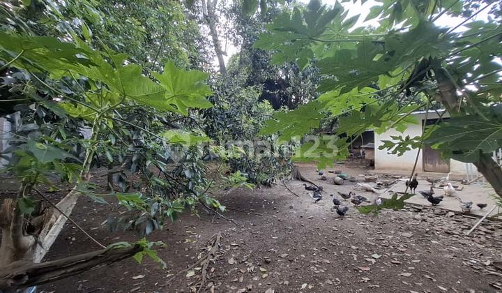 Kavling/ Tanah Luas 770 m2 Lokasi di Sukaraja Cicendo Bandung Jabar Kavling/ Tanah Luas 770 m2 Lokasi di Sukaraja Cicendo Bandung Jabar