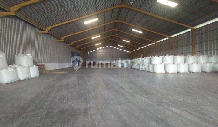 Large Cheap Warehouse Raya Babat Lamongan Shm