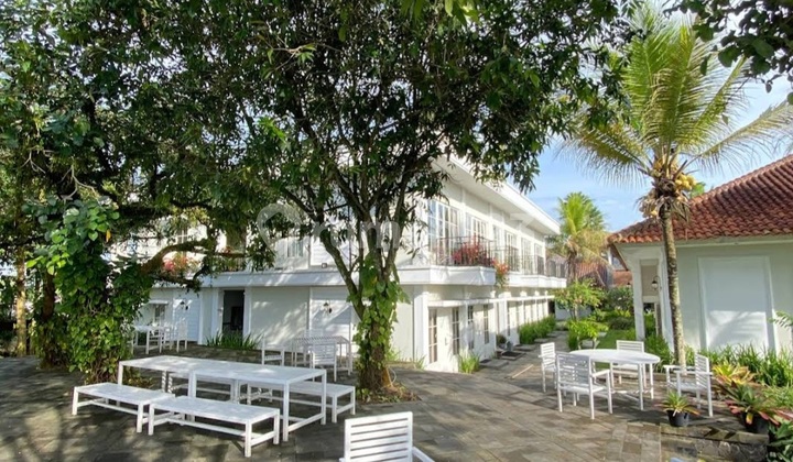 Hotel & Resort Natural Ambience Near Borobudur Hotel 2