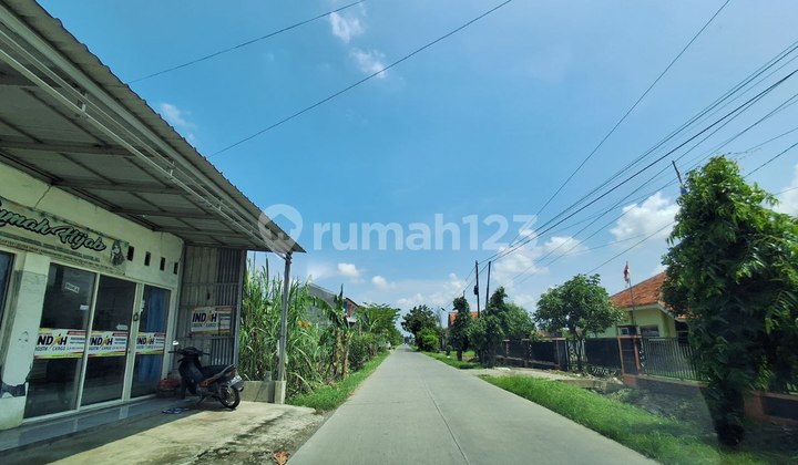 Tanah Kering Murah,Demak Tanah Kering Murah,Demak