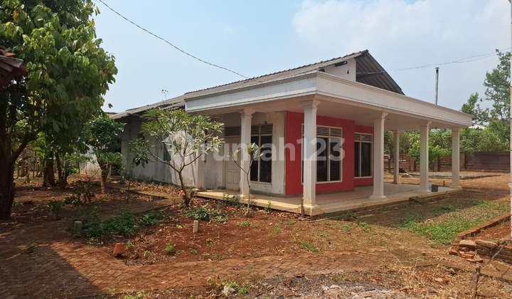 House and Large Land in Mantingan Jepara