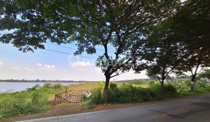 Tamah Strategis ******** Sayung Demak Tamah Strategis ******** Sayung Demak