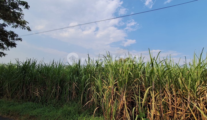 Tanah ******** Kawasan Industri Kota Kudus Tanah ******** Kawasan Industri Kota Kudus