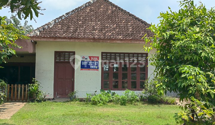 Selling Land with House Bonus, Location in Tayu Pati