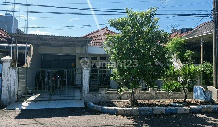 Dijual Murah Rumah Lebar 10x20m Jl. Jeruk Row Jalan Terlebar Nego 1