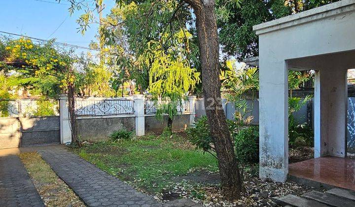 Disewakan Rumah Komersial Pusat Kota Surabaya Cocok Cafe Bisnis 2