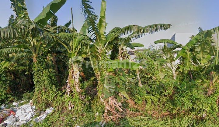 Land for Sale Near Akper Nursing School and SDN Pademawu Pamekasan, SHM Certified.