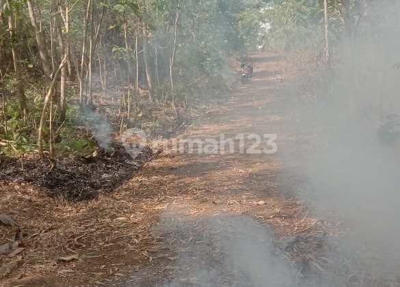 Land for Sale at Balu Bendungan, Kedawung, Sragen, Comfortable and Green, Certificate of Ownership (SHM) Land for Sale at Balu Bendungan, Kedawung, Sragen, Comfortable and Green, Certificate of Ownership (SHM)