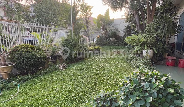 For Sale Luxury House Darmo Baru Row 4Car SHM Negotiable 2