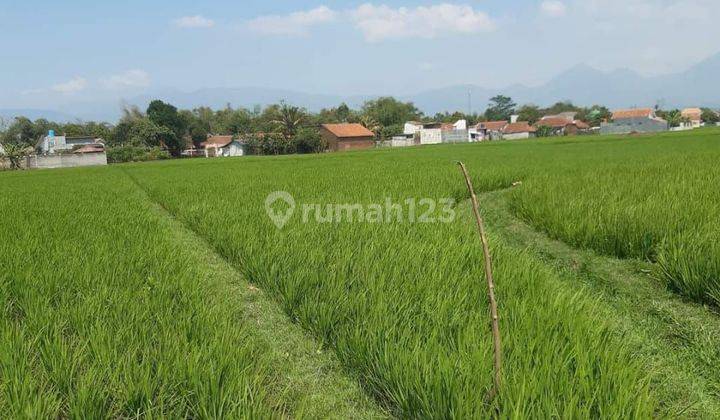 Dijual 4 Bidang Sawah Ciparay  1