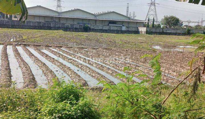 Di Jual Cepat Sebidang Tanah seluas 4,3ha, Lokasi Strategis 2