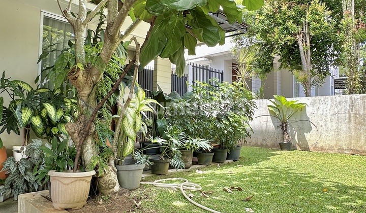 For Sale Ready-to-Occupy House in La Vanoise Sentul City For Sale Ready-to-Occupy House in La Vanoise Sentul City