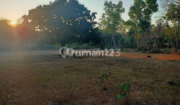 Tanah 700m2 di Nusa Dua Nego Sampai Jadi 3min Ke Pantai Geger Dan Pantai Pandawa 1