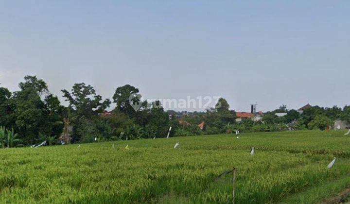 Disewakan Tanah di Area Sayap Raya Canggu 1