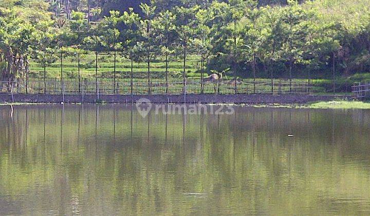 Tanah Dan Situ Cilutung di Mainroad Samarang Garut 1