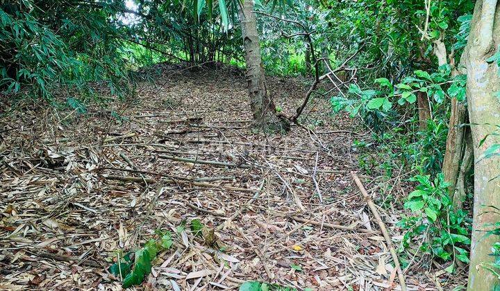 Tanah Strategis di Desa Cilewo Kec. Talagasari Karawang 1