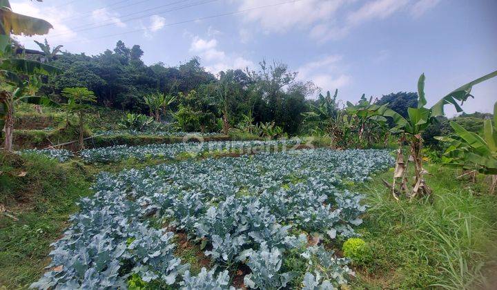 Tanah Kavling Hook Hoek di Jl Lembah Bajuri 1